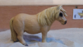 /album/fotogalerij-onze-paarden/schermafbeelding-2013-03-14-om-16-10-52-png/